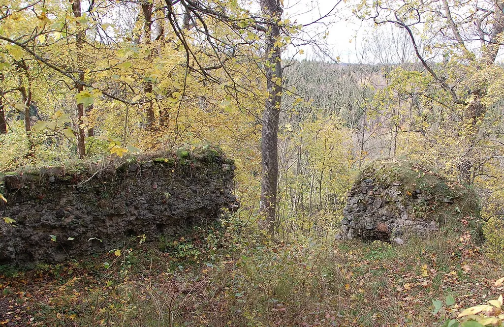 Ruine der Heinrichsburg