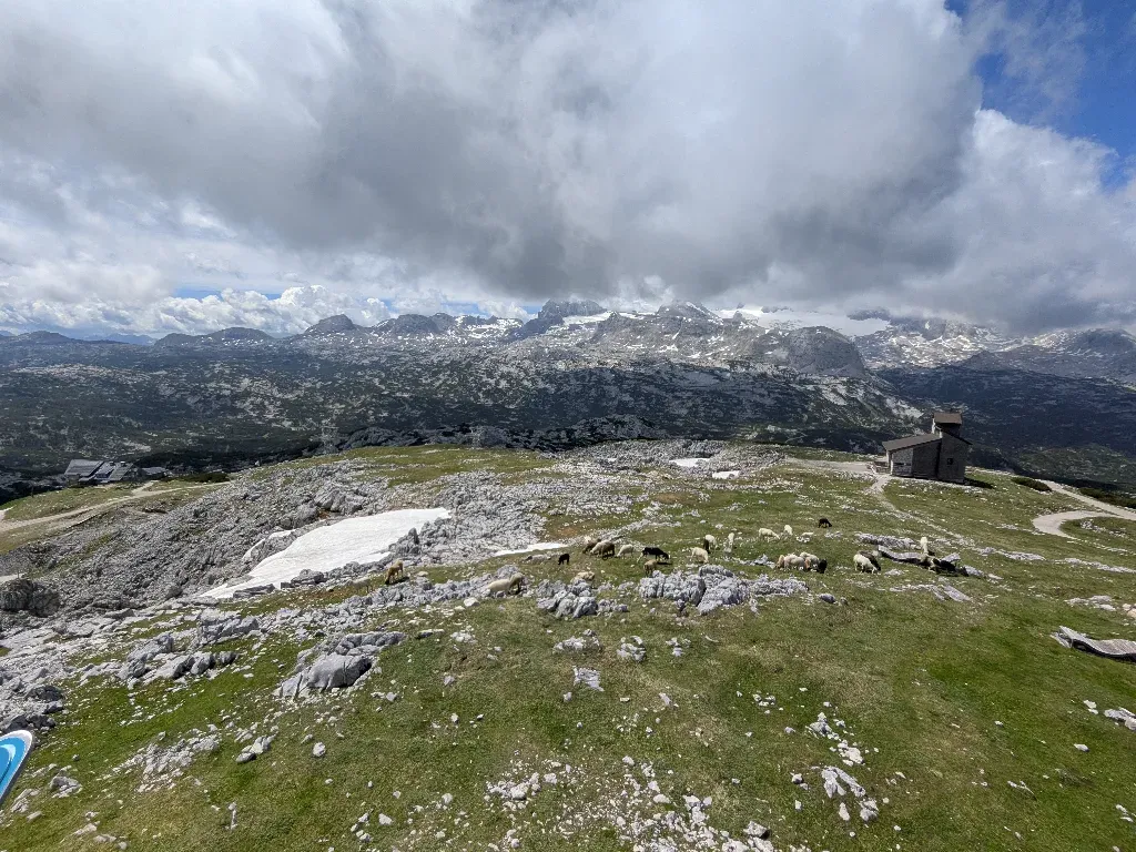 Blick vom Krippensteingipfel aufs Dachsteingebirge