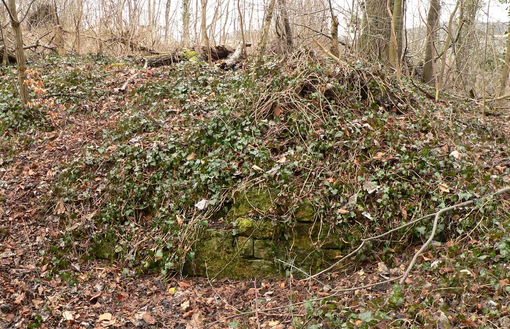 Mauerrest der Burg Friedland