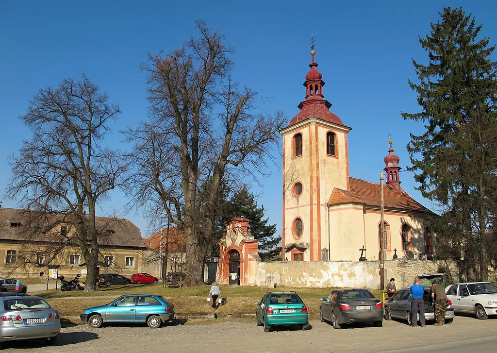 Famous trees next to the church of the Saint Stanislus in Mořina, Berou District (Czech Republic)