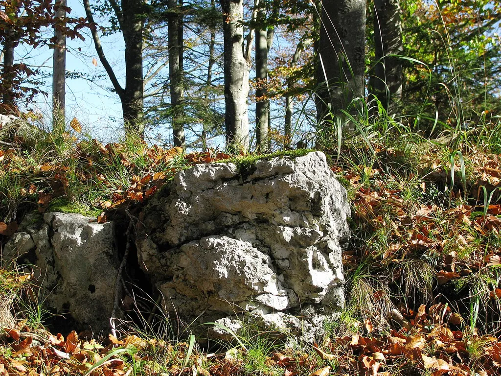 Mauerreste der Schellenburg bei Lenggries