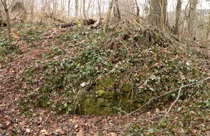 Burg Friedland
