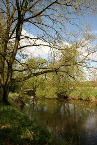 Wümmeniederung unterhalb Rotenburg