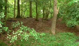 Burg Bierde