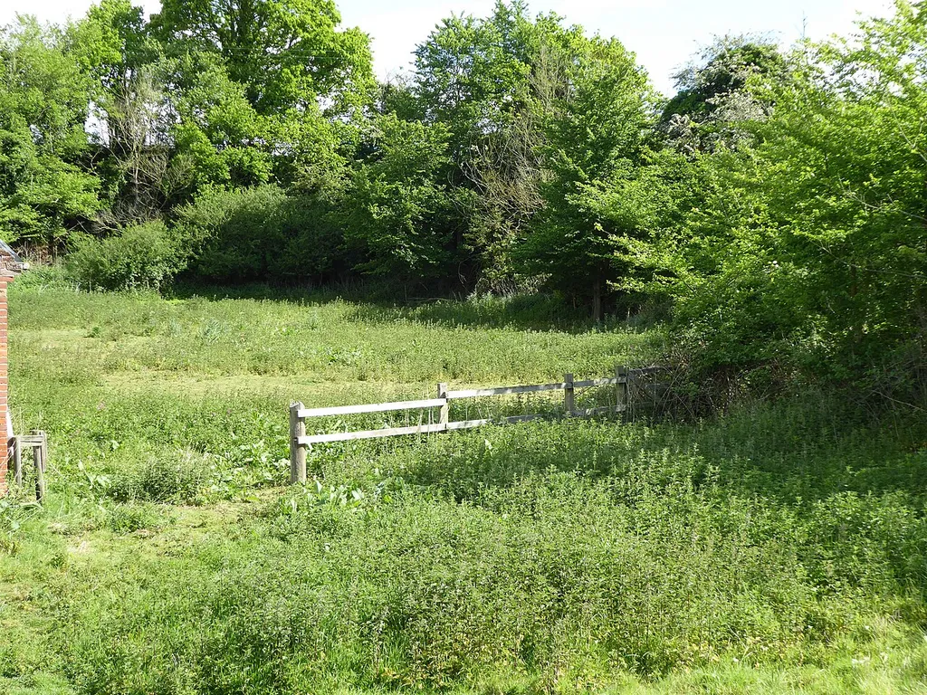 Chillesford Church Pit is a geological Site of Special Scientific Interest in Chillesford in Suffolk.