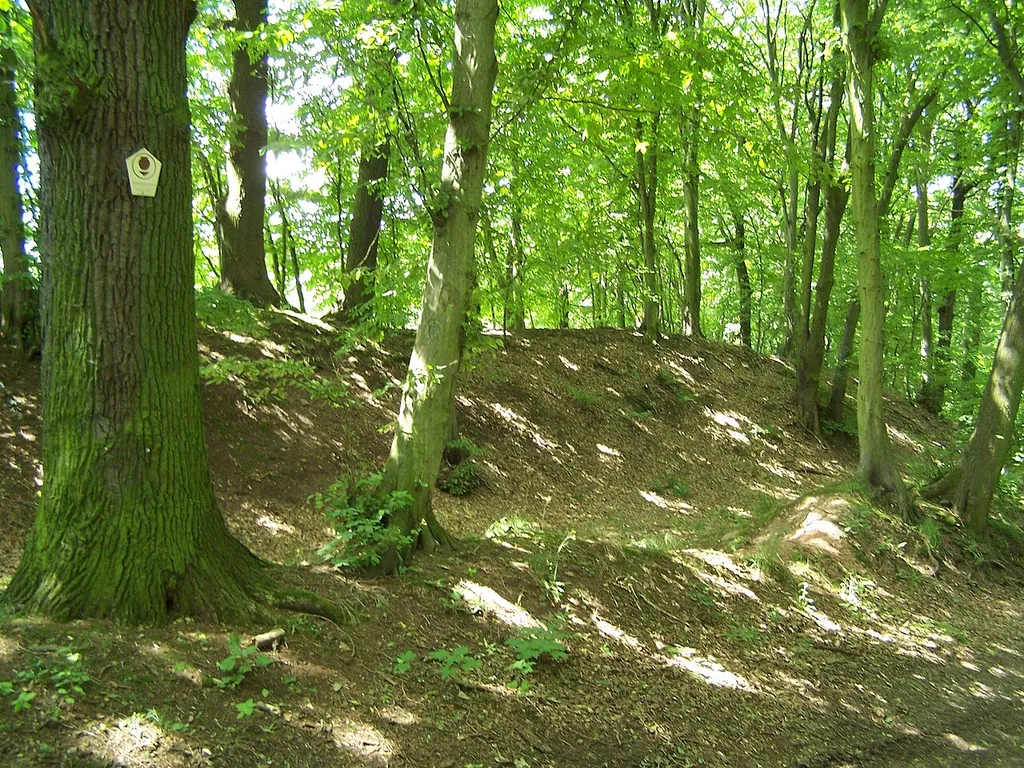 Burgstelle Schlösschen (Unterrohn)