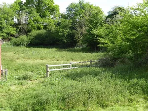 Chillesford Church Pit