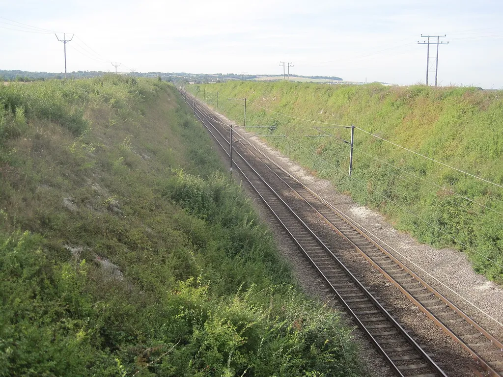 Holland Hall (Melbourn) Railway Cutting is a biological Site of Special Scientific Interest near Melbourn in Cambridgeshire
