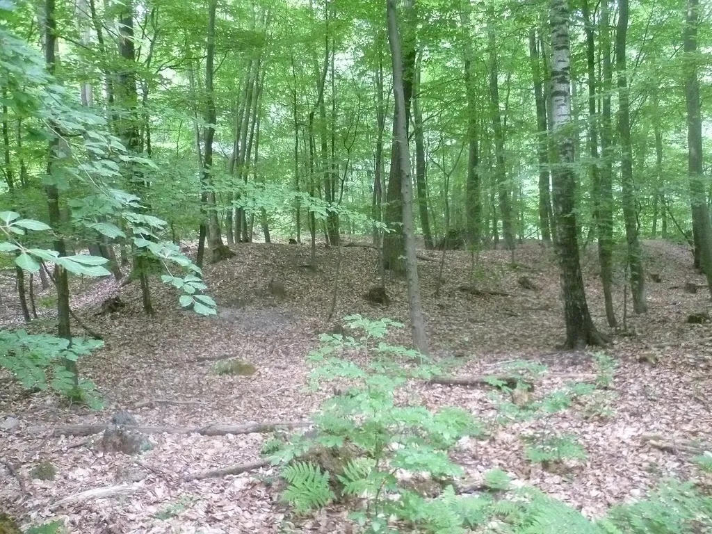 Die östliche der Custinen Schanzen bei Oberursel