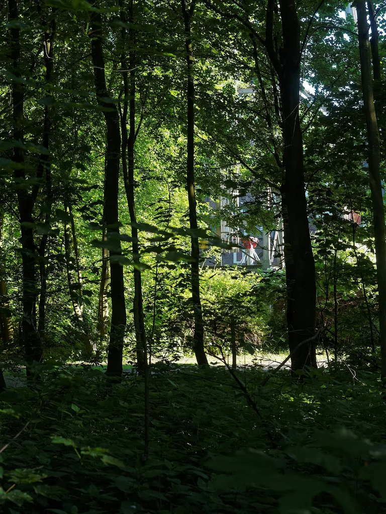 Das Landschaftsschutzgebiet Waldbereich nördlich der Zeche Teutoburgia in Herne-Sodingen erstreckt sich östlich um das Gelände der ehemaligen Zeche Teutoburgia 1/2 bis an die nördlich verlaufende eingleisige Bahnstrecke von Herne nach Castrop. Im Bild sieht man versteckt die Protegohaube und ein Teil des Schachtgerüstes. LSG-4409-0038. CDDA-Code:555561079