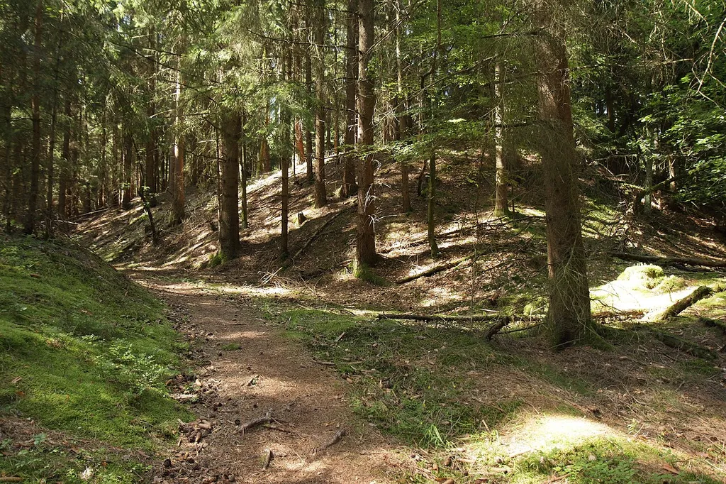 Burgstall Rittershof - Ansicht des Burgstalls aus südlicher Richtung
