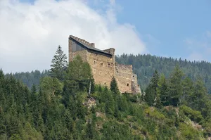 Frauenburg (castle)