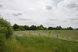 Burgdorfer Holz