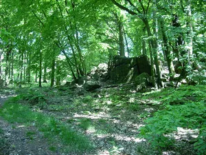 Berge um Hohburg und Dornreichenbach