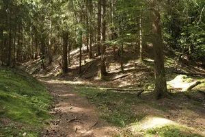 Burgstall Pölling
