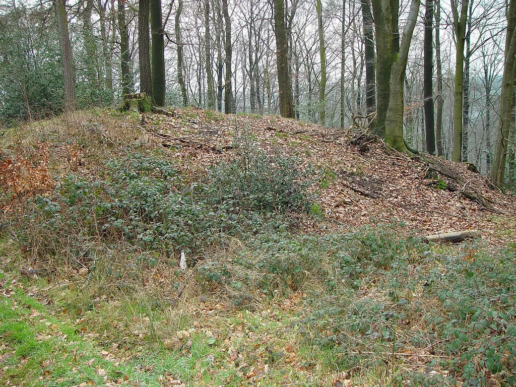 de:Ringwallanlage Burggraben im de:Staatsforst Burgholz