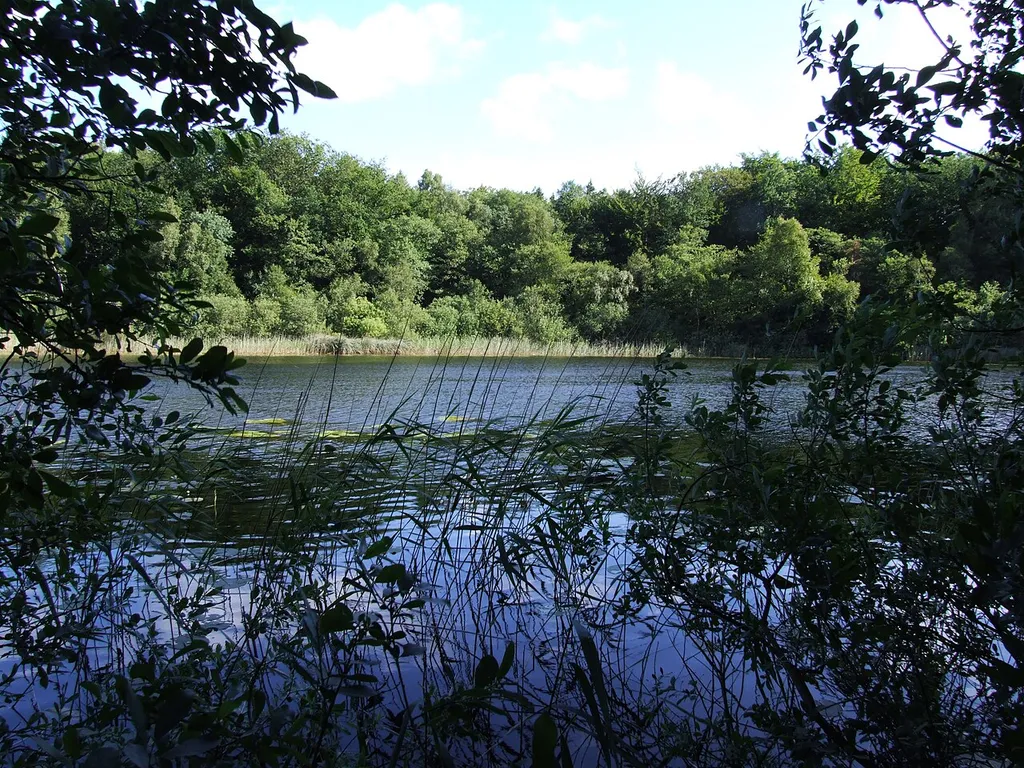 Backofensee