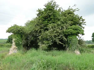 Remains of Church of St Andrew