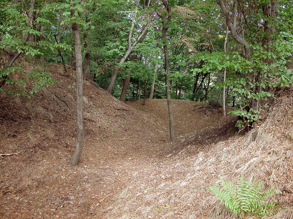 09.09.2008 01705 Pesterwitz (Freital) Am Burgwartsberg (GMP: 51.01733,13.652251): Castell Thorun. Vor 1206 errichtete der Burggraf von Dohna, Heinrich II., auf dem Burgwartsberg bei Pesterwitz widerrechtlich eine Burg, das Castell Thorun. Nur Erdwälle sind übrig. [DSCN34057.TIF]20080909185DR.JPG(c)Blobelt
