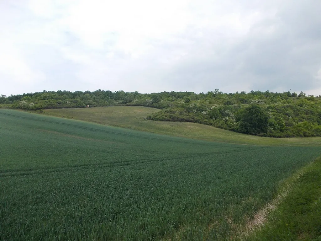 Landscape east of Hirschroda (Balgstädt, district: Burgenlandkreis, Saxony-Anhalt) in the Unstrut-Triasland landscape protection area