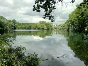 Rheinniederung Neuburg-Wörth
