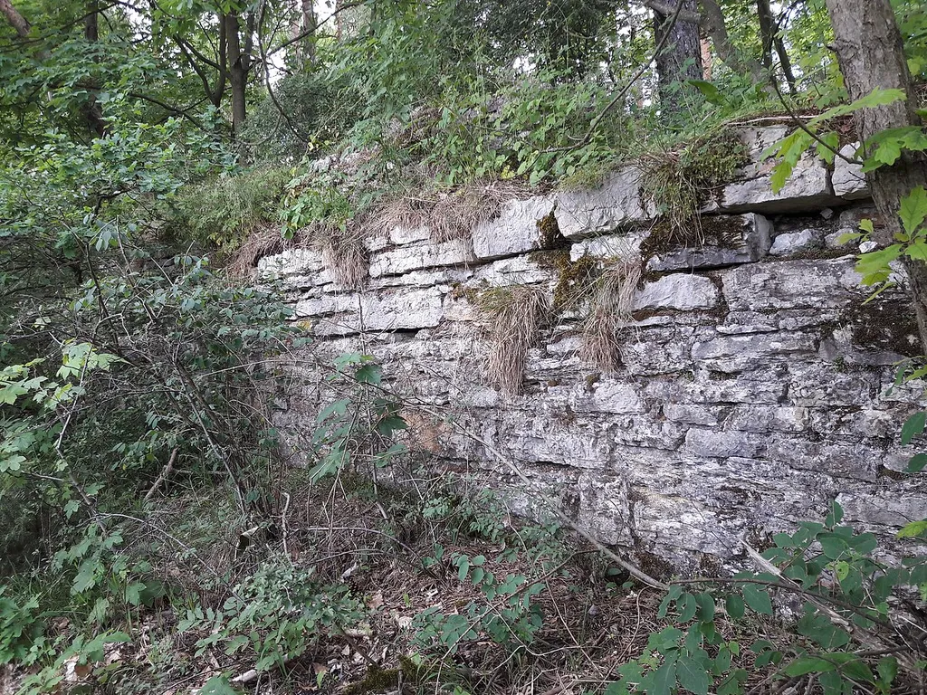 Mauerreste der Reinsburg bei Plaue, Thüringen