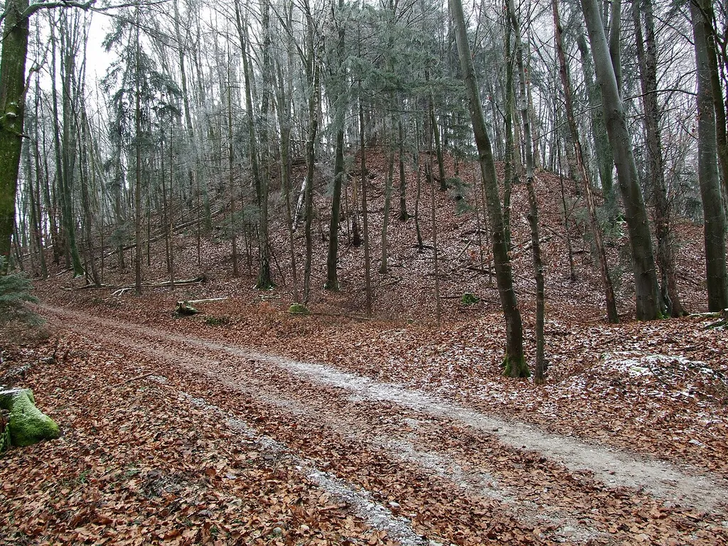 Sunderburg, Deutschland, Bayern, Landkreis FFB
