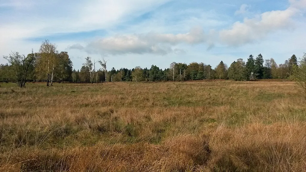 Hühnerfeld