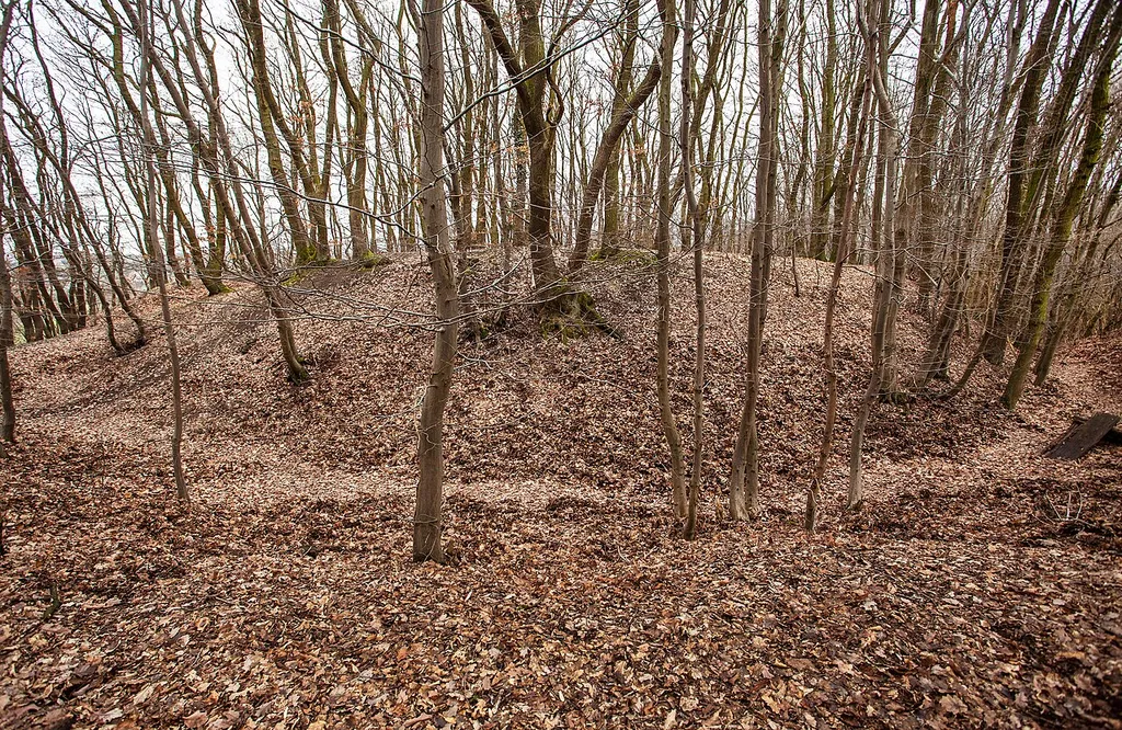 Reste der Burg Holtrup (Ansicht der Burgstätte auf dem "Schlossberg" von Südosten)