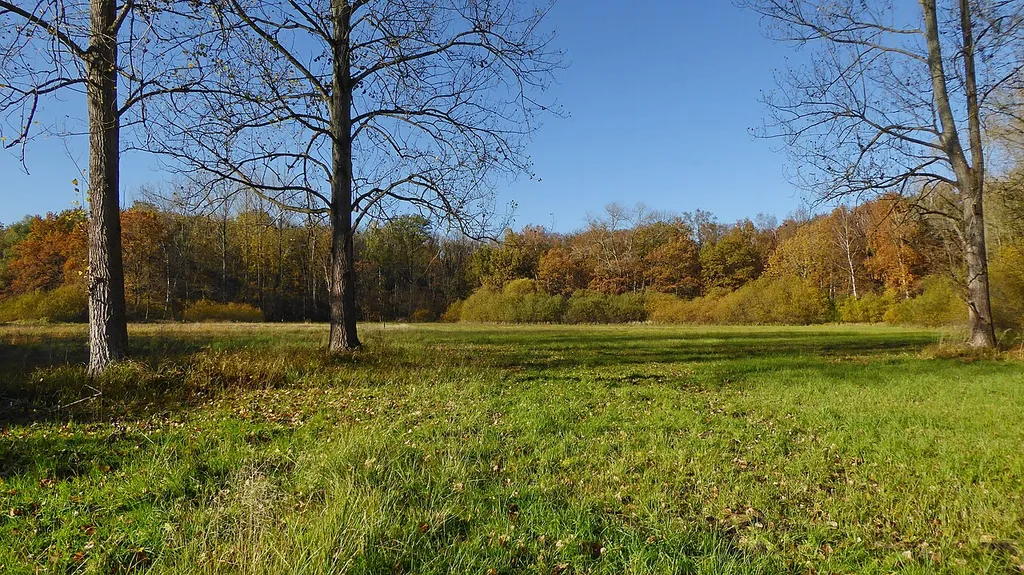 Holzwiese-Bockmerholz