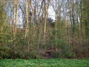 Höhenburg Naugarten