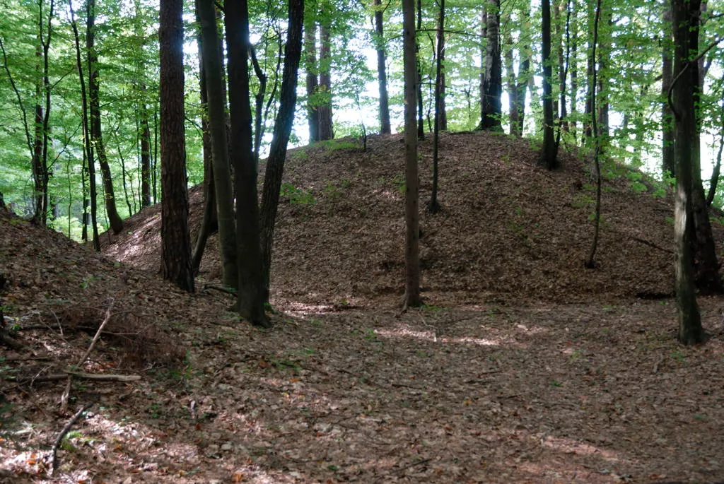 Siedlung und Nekropole der Hallstattzeit auf dem Burgstallkogel