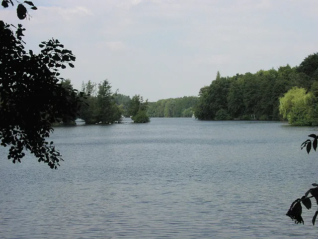 Hariksee
