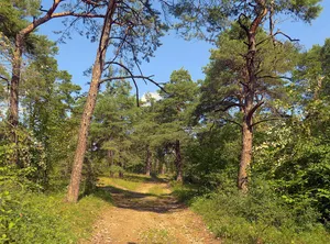 Wälder und Trockengebiete östlich Hammelburg