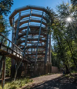 Aussichtsturm Baumwipfelpfad Schwarzwald