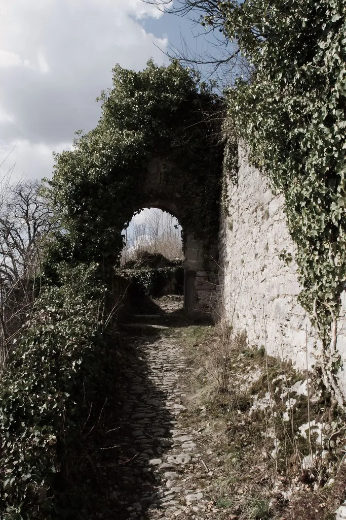 Burgruine Limpurg