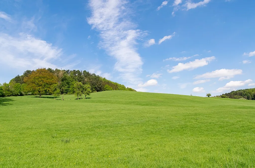 Naturschutzgebiet Hinnenburger Forst mit Emder Bachtal, Kreis Höxter; Herster Kopf in Brakel