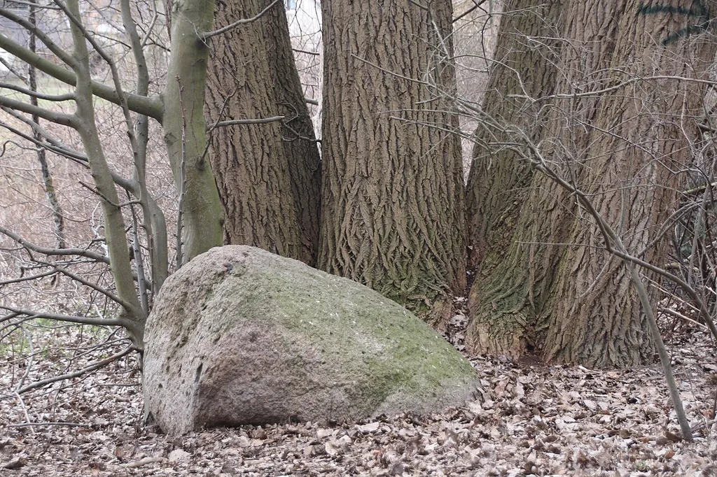 Das Naturdenkmal mit der Bezeichnung Findling in Misburg in Hannovers Stadtteil Misburg … Object location52° 23′ 54.02″ N, 9° 51′ 37.35″ E View this and other nearby images on: OpenStreetMap 52.398339; 9.860375