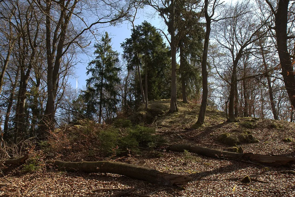 Burgstall Löweneck - Ansicht des Burgstalls aus nordwestlicher Richtung