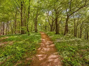 Kamm des Wesergebirges