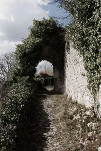 Limpurg