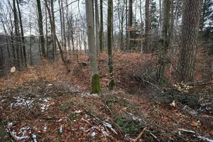 Burg Bermatingen