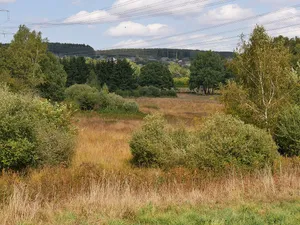 Eidenbruch bei Gusenburg
