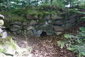 Ruine Burgholz