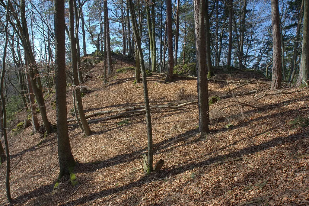 Burgstall Vestenberg