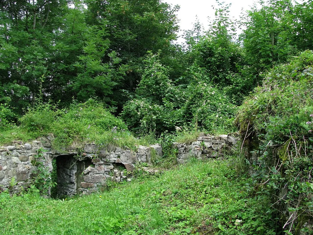 Ruine der Burg Altlaubenberg.