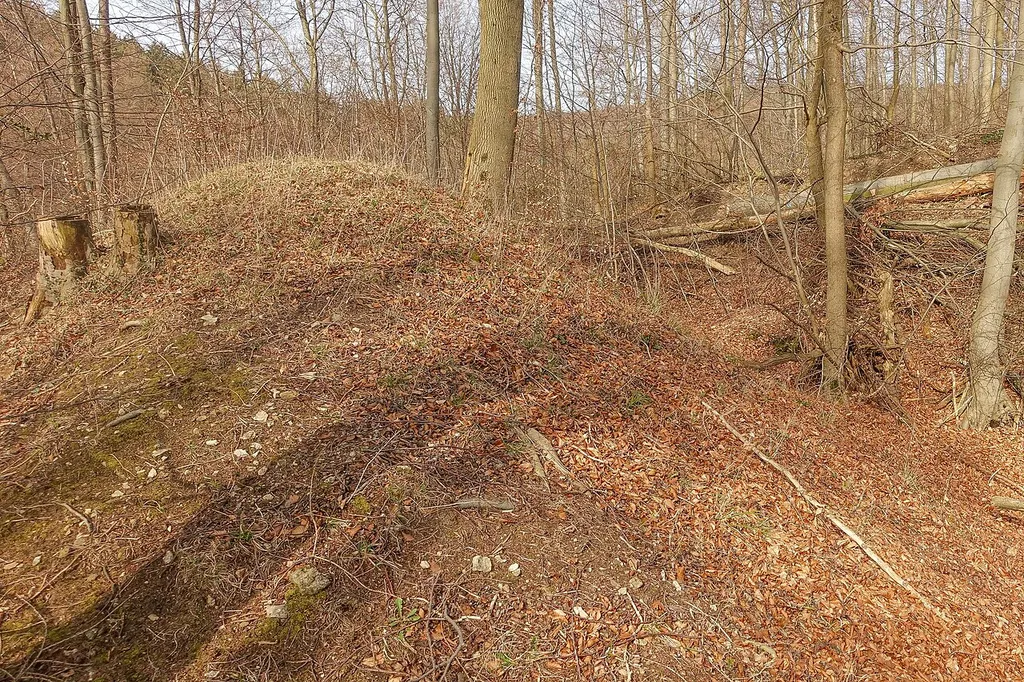 Der Wall der Poppenburg