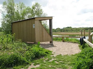 RSPB Surlingham Church Marsh