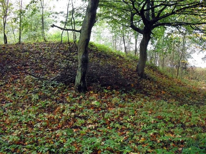 Wall der Hauptburg