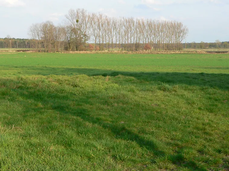 Burgstelle Wahrenholz